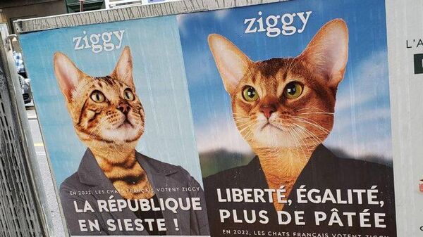 Реклама кошачьего корма в предвыборной стилистике во Франции