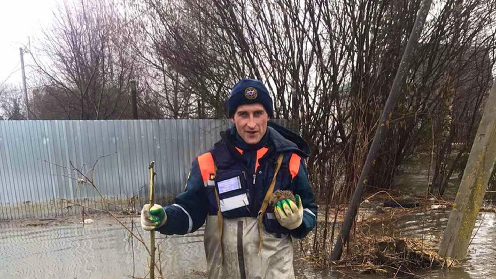 В Гагаринском районе Смоленской области во время обхода подтопленных приусадебных участков спасатели вынесли ежа с отрезанного водой участка земли - РИА Новости, 1920, 14.04.2022