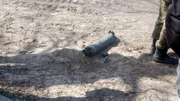 Часть боеприпаса в воронке в поселке Климово Брянской области