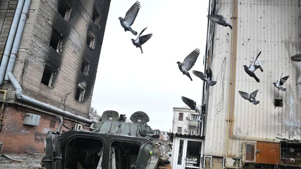Голуби пролетают над сгоревшей боевой машиной пехоты в Мариуполе