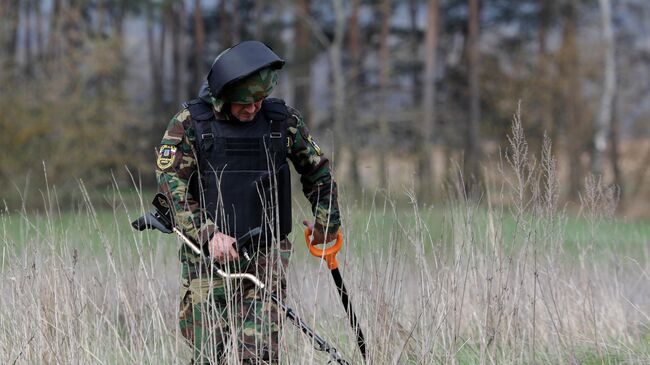 Сотрудник поисково-спасательной службы МЧС России занимается поиском фрагментов снаряда ВСУ в селе Головчино в Белгородской области