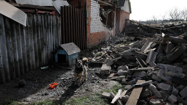 Поврежденные и разрушенные в результате обстрела ВСУ жилые дома в селе Головчино в Белгородской области