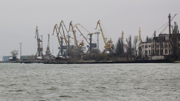 СМИ: первый корабль с украинским зерном может покинуть порт до конца недели