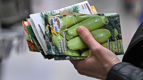 Покупатель держит пакетики с семенами 