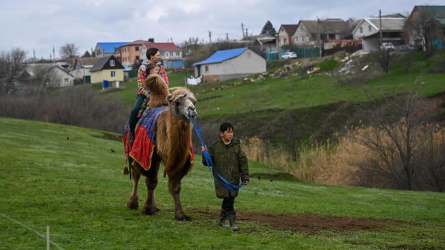 Хозяйство Верблюжий остров в Элисте, где туристы и местные жители могут покататься верхом на верблюдах в любое время года