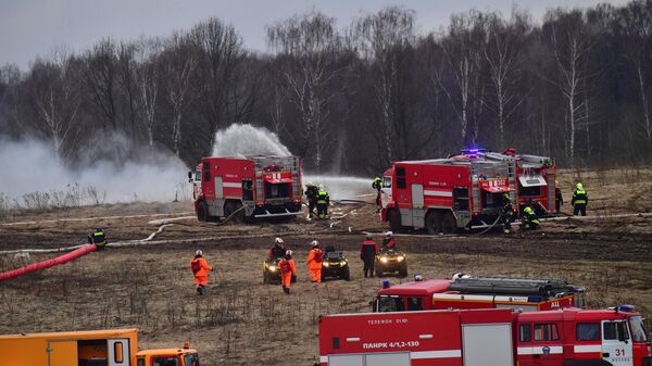 Пожарные расчеты МЧС России на ликвидации ЧС в результате природных пожаров