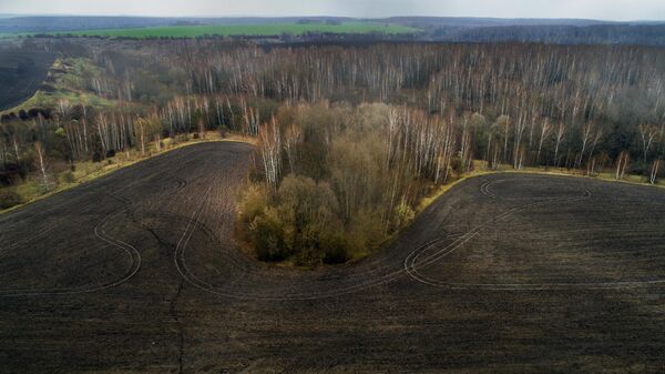 Овраг неподалеку от села Судьбищи в Орловской области, где были найдены исторические артефакты