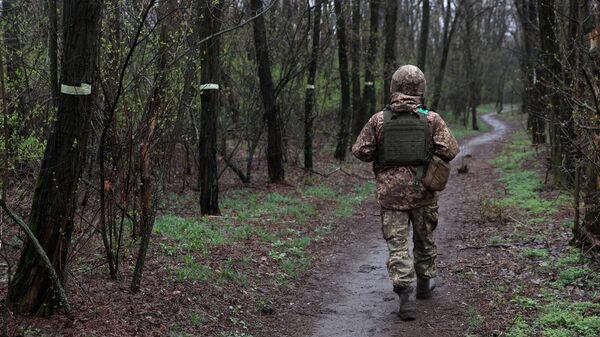 Украинский военнослужащий недалеко от поселка Нью-Йорк