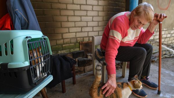 Женщина со своими кошками возле подъезда жилого дома в городе Рубежное Луганской народной республики