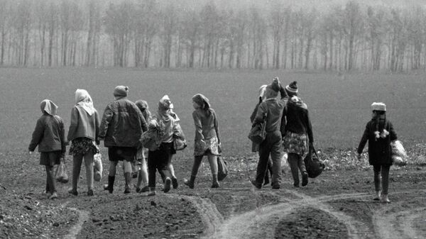 Ученики школы Сухомлинского идут в поле