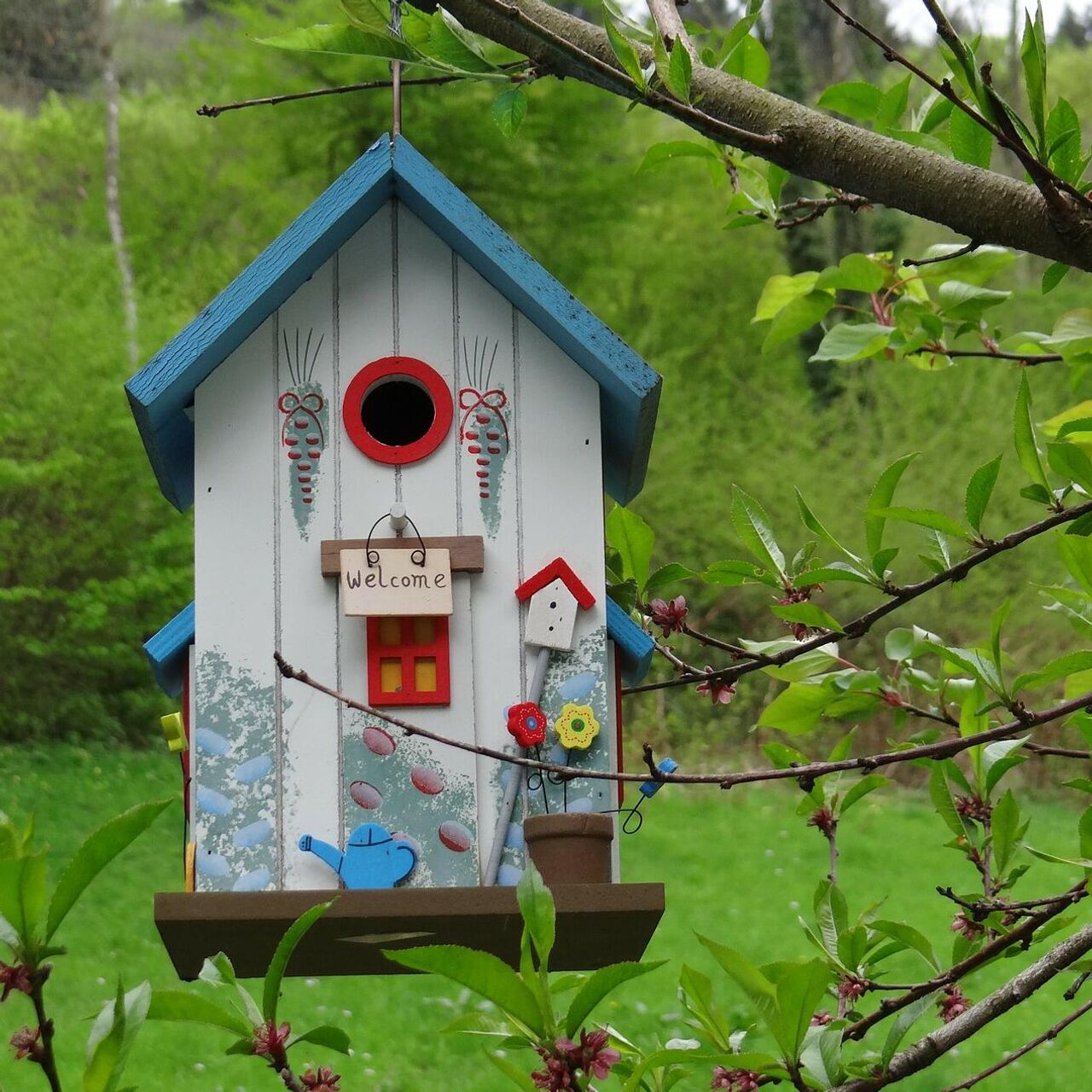 Деревянные домики для птиц своими руками