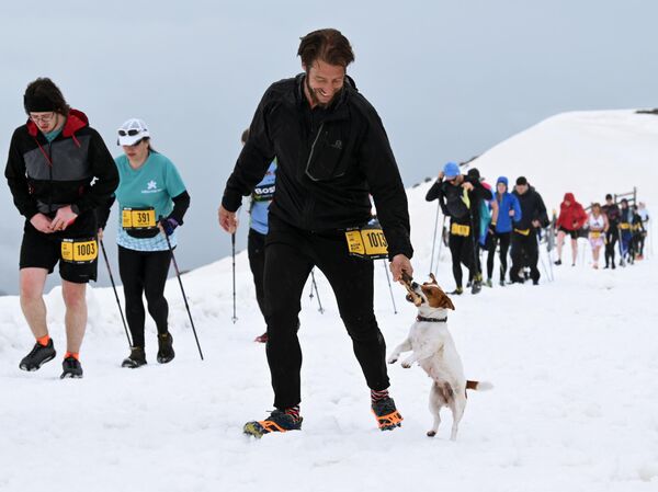 Мужчина играет с собакой на дистанции гонки Rosa Peak, вертикальный километр на фестивале бега Rosa Run на горном курорте Роза Хутор в Сочи