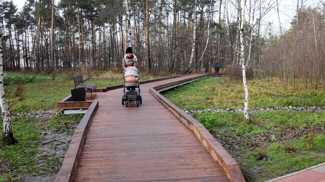 Женщина с коляской в Ивановском лесопарке в Москве