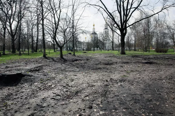 1786756390_0:0:3071:2048_600x0_80_0_1_ef