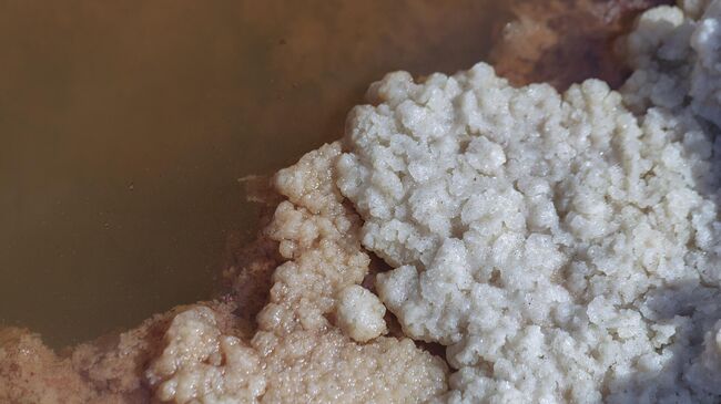 Поваренная соль