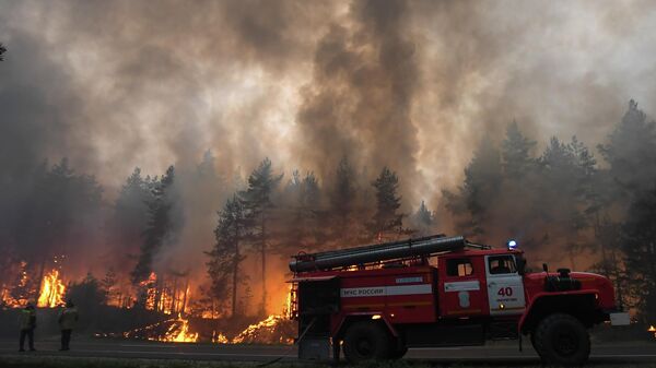 Техника пожарной службы и сотрудники МЧС во время тушения лесного пожара