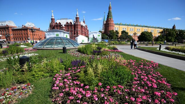 Цветник на Манежной площадь в Москве