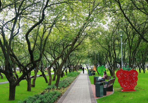 Аллея в парке Яблоневый сад в Бирюлево Западном