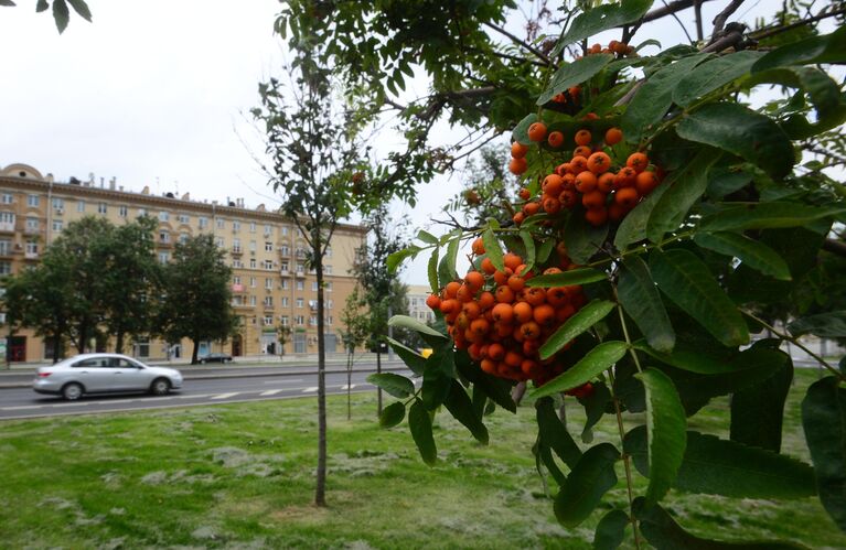 Благоустройство улиц в Москве