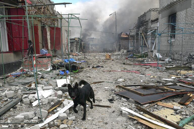 Разрушенный рынок в городе Попасная