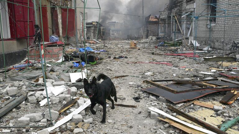 Разрушенный рынок в городе Попасная