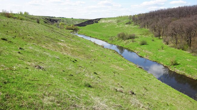 Река Аргамач и лес Просека