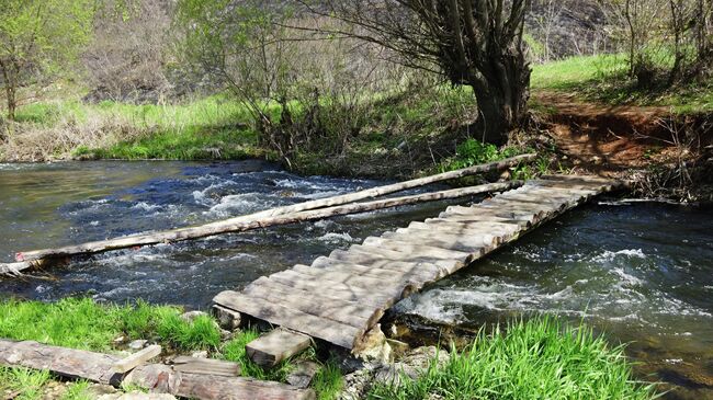 Экологическая тропа, бобровый перекат