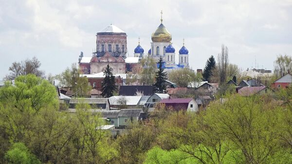 Вид из Знаменского монастыря - Покровская церковь и Вознесенский собор