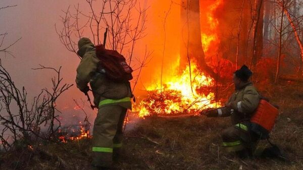 Сотрудники МЧС тушат лесной пожар в Курганской области