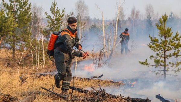 Сотрудники МЧС тушат лесной пожар в Курганской области