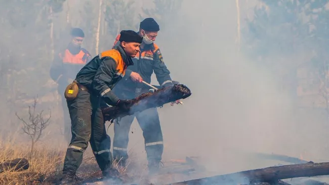 Сотрудники МЧС тушат лесной пожар в Курганской области