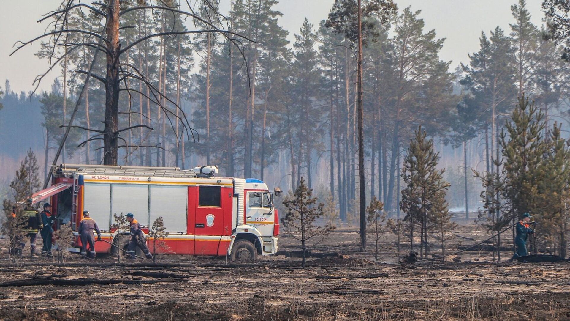 Сотрудники МЧС тушат лесной пожар в Курганской области - РИА Новости, 1920, 30.05.2022