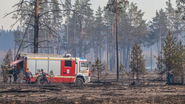 В России за сутки потушили 49 природных пожаров