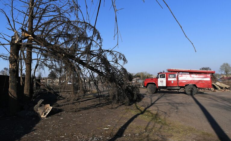 Сгоревшие деревья на улице в городе Уяре Красноярского края