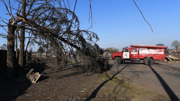 Сгоревшие деревья на улице в городе Уяре Красноярского края