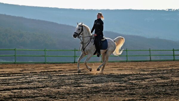 Девушка скачет на верхом на лошади на территории базы отдыха ЭкоРест в селе Каштановом в Крыму