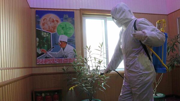 Сотрудник Гигиенического и противоэпидемического центра дезинфицирует коридор здания в Пхеньяне, Северная Корея