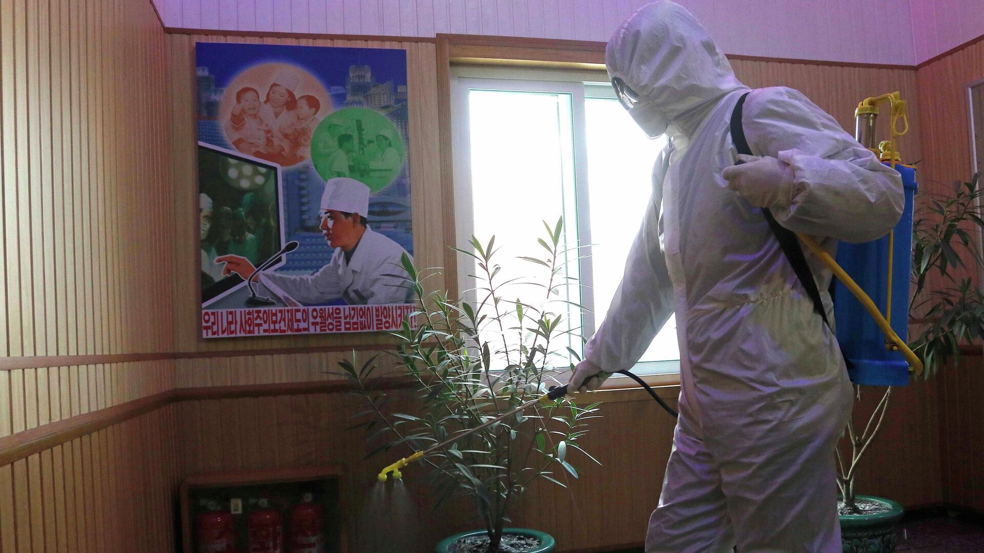 Сотрудник Гигиенического и противоэпидемического центра дезинфицирует коридор здания в Пхеньяне, Северная Корея - РИА Новости, 1920, 15.05.2022