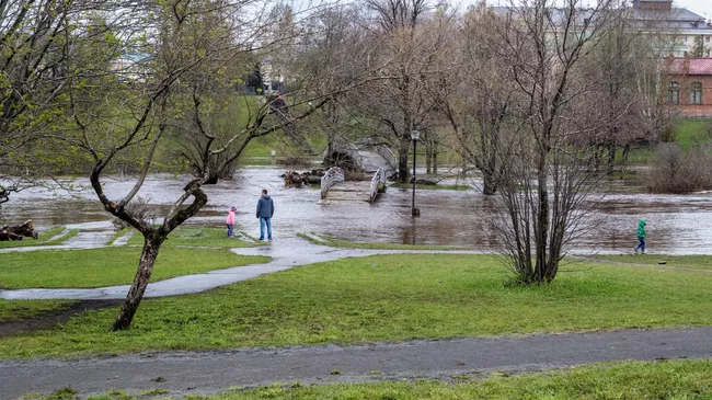 Разлив реки Лососинка в пойме у набережной Гюллинга в центре города Петрозаводска