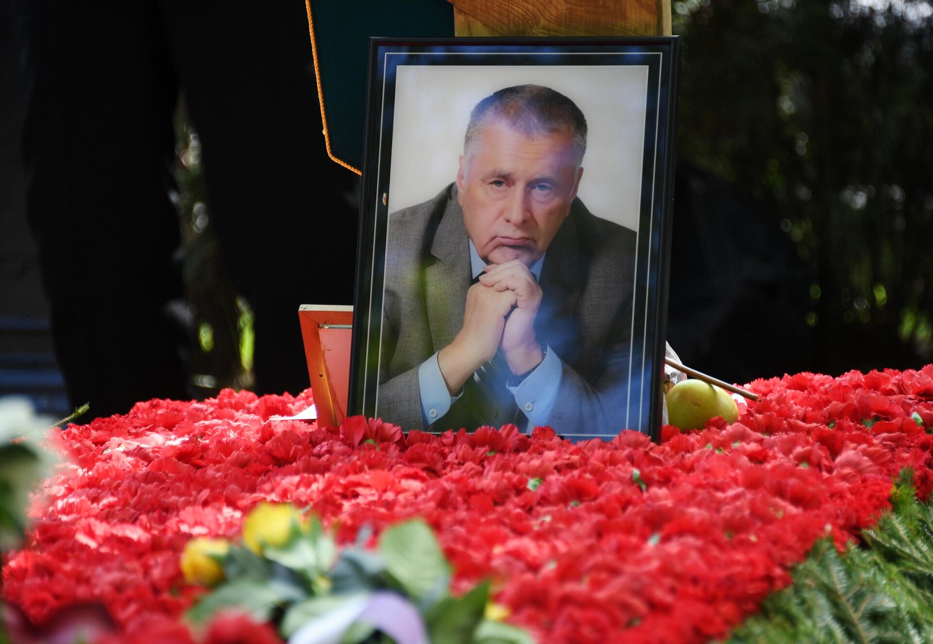 Портрет на могиле Владимира Жириновского - РИА Новости, 1920, 29.10.2025