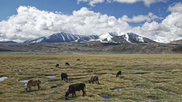 Вид на горы Памир