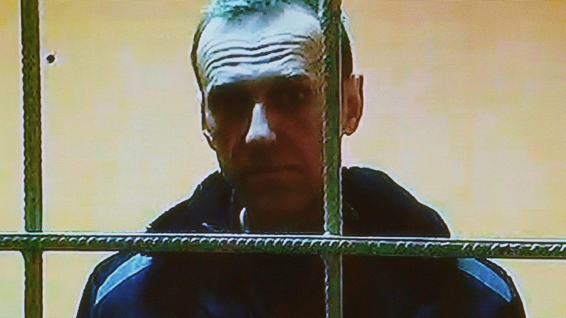 Алексей Навальный во время заседания Московского городского суда - РИА Новости, 1920, 12.12.2023