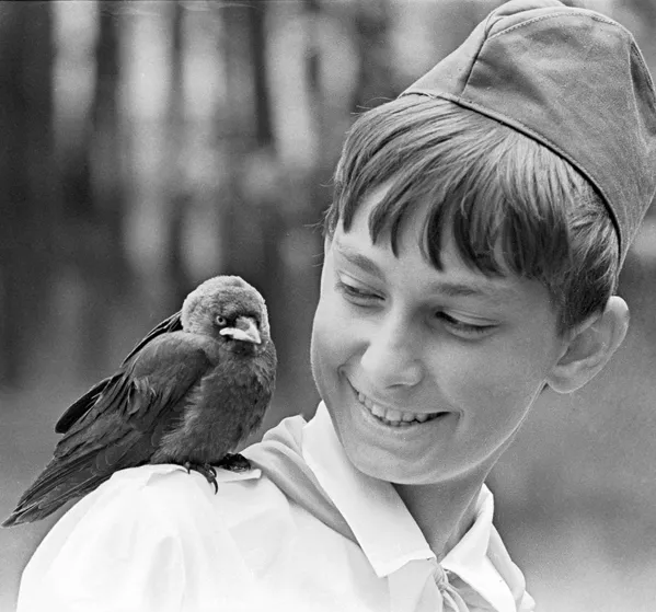 Птенец вороны сидит на плече у пионера из школьного лесничества Борисовского лесного хозяйства