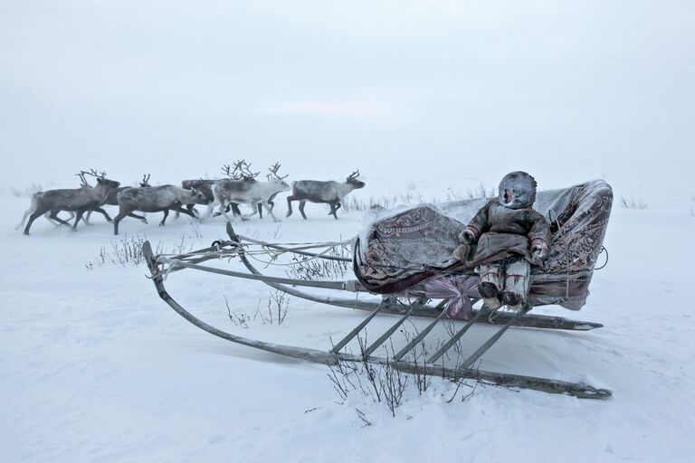 Снимок Migration фотографа из Италии Alessandro Malaguti, получивший награду Merit Award на конкурсе All About Photo Awards 2022