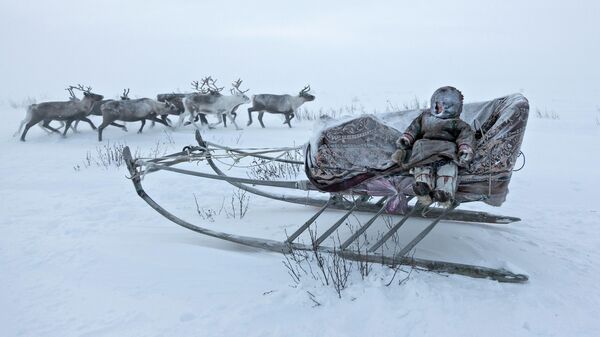 Снимок Migration фотографа из Италии Alessandro Malaguti, получивший награду Merit Award на конкурсе All About Photo Awards 2022 Снимок Migration фотографа из Италии Alessandro Malaguti, получивший награду Merit Award на конкурсе All About Photo Awards 2022