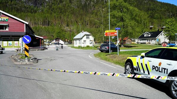 Место происшествия в деревне Нумедал на востоке Норвегии, где несколько человек пострадали в результате нападения с ножом