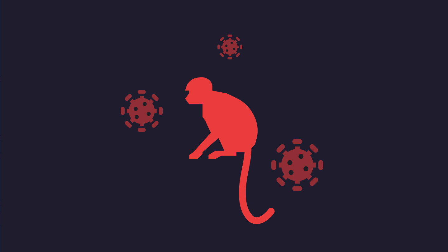 Оспа обезьян: симптомы и распространение
