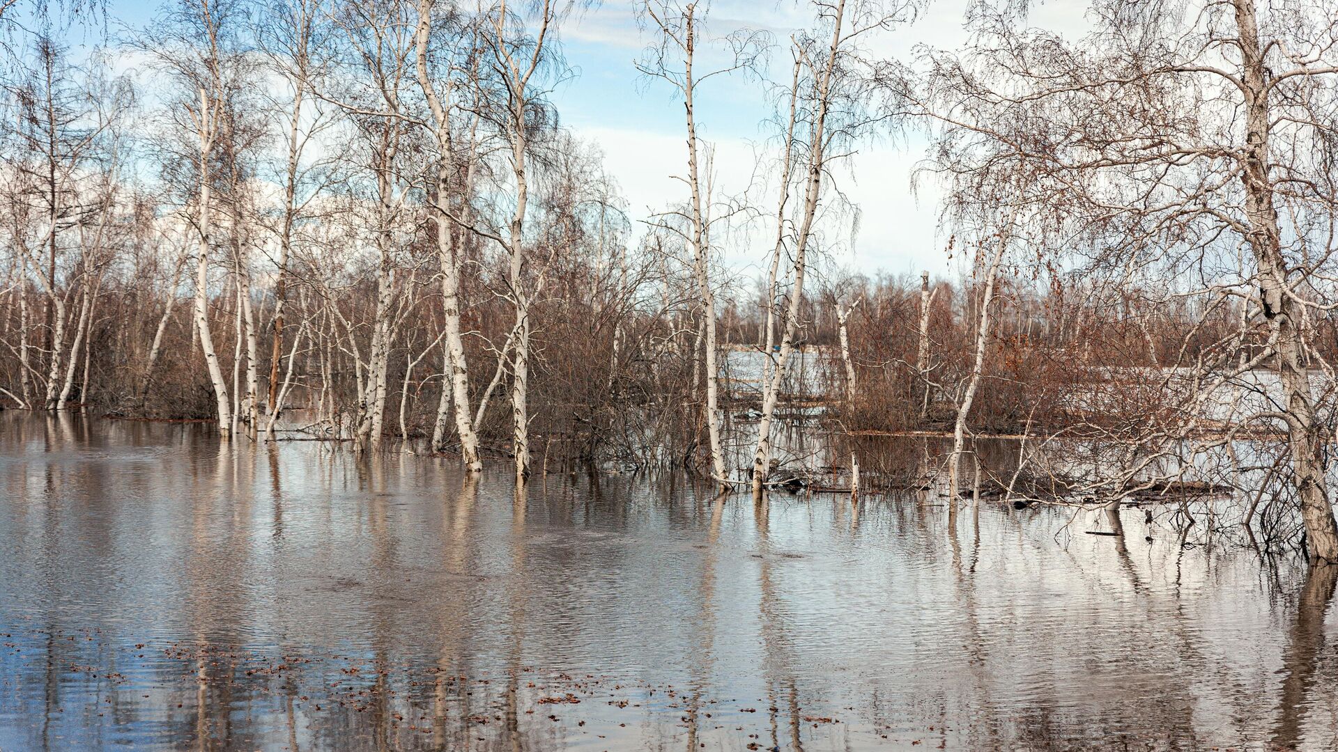 Паводок - РИА Новости, 1920, 04.04.2024