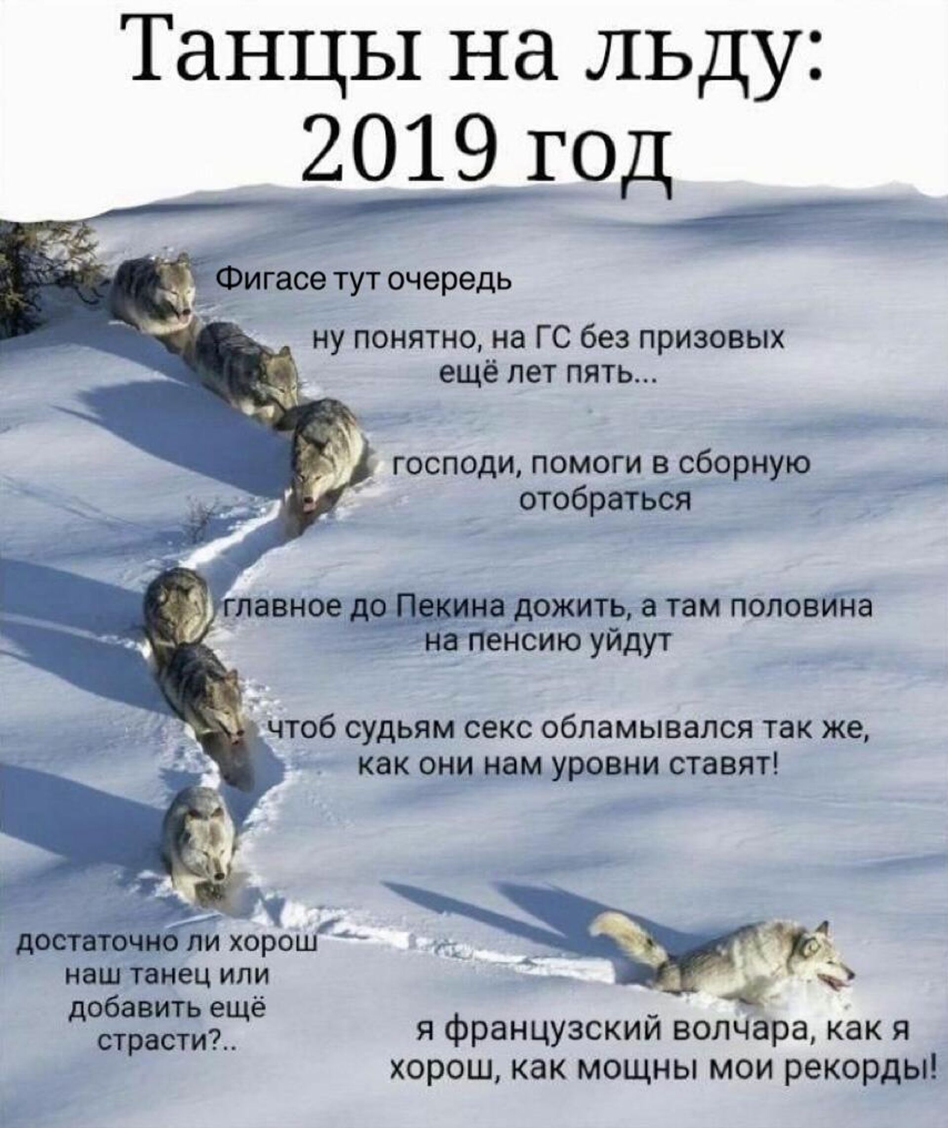 Танцы на льду: 2019 год - РИА Новости, 1920, 24.05.2022