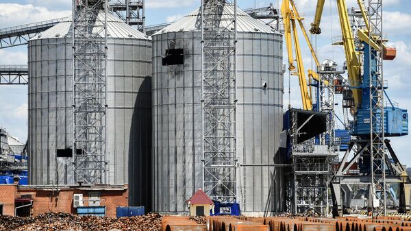 Силосы для хранения зерна в зерновом терминале морского порта в Мариуполе